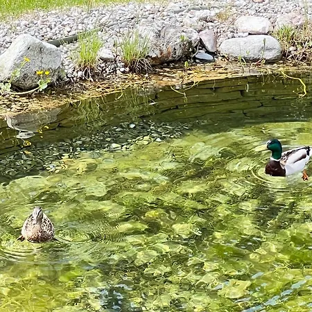 Chalet Hideaway Design By Belle *