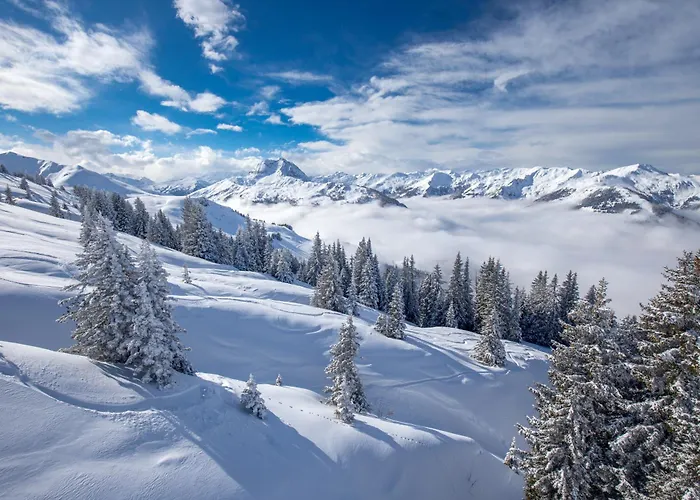 Hideaway Design By Belle