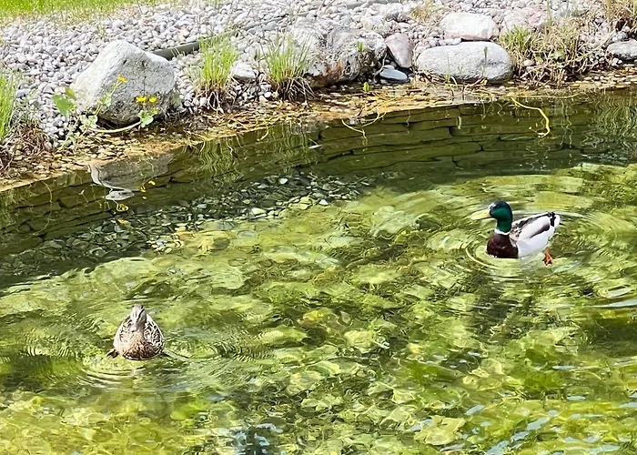 Dağ evi Hideaway Design By Belle *